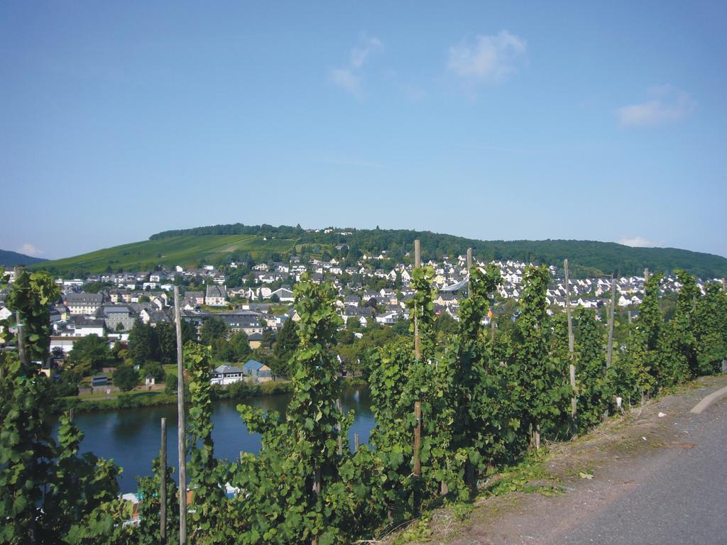 Christiana'S Wein & Art Hotel Bernkastel-Kues Zewnętrze zdjęcie